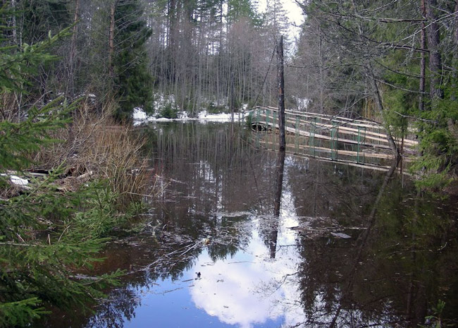 мост по реке