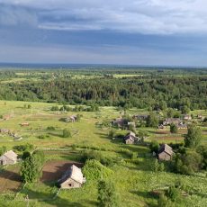 Особенности национального огородничества