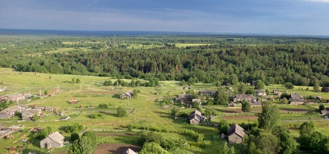 Особенности национального огородничества