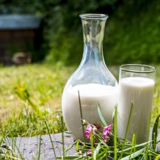 Полезные вещества в козьем молоке